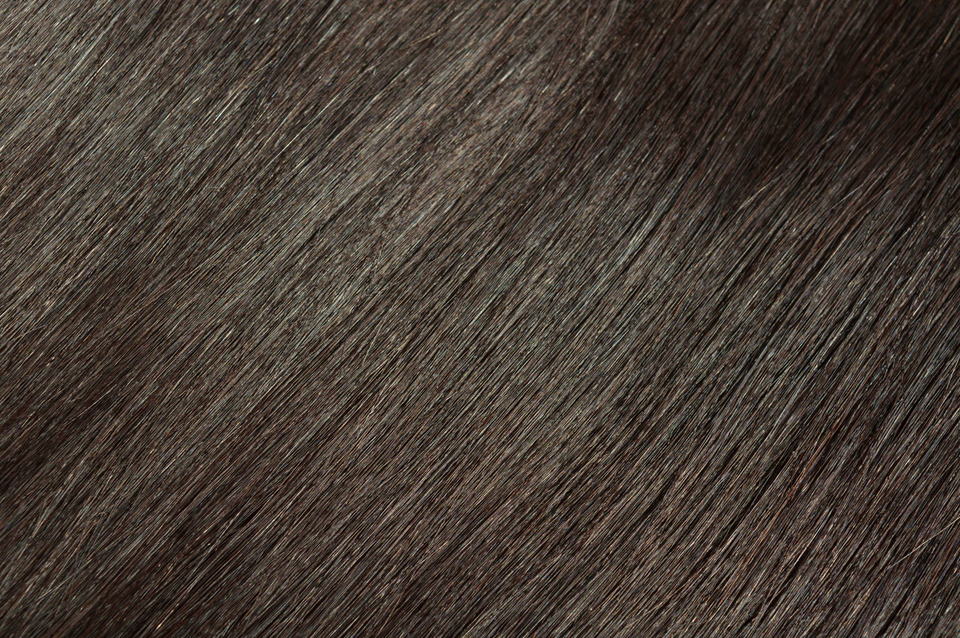 Clip In Hair Extensions - Shanghai Night.
